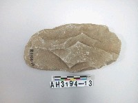 藏品(打製石斧)的圖片